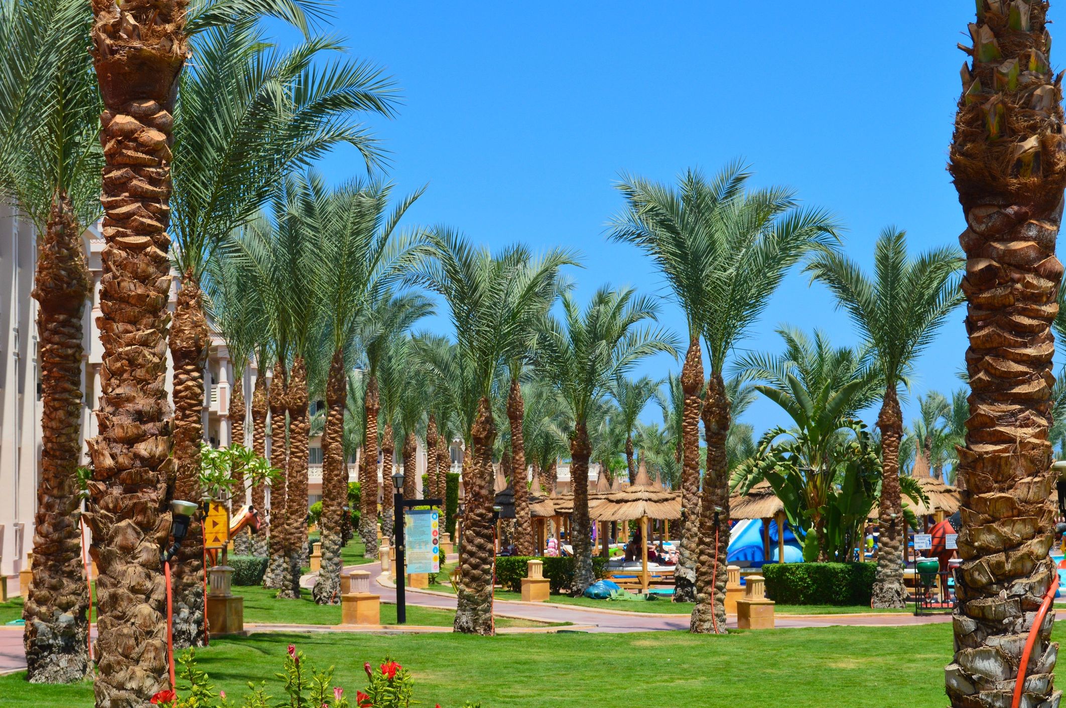 Luxury tropical resort landscape for upscale travel inspiration